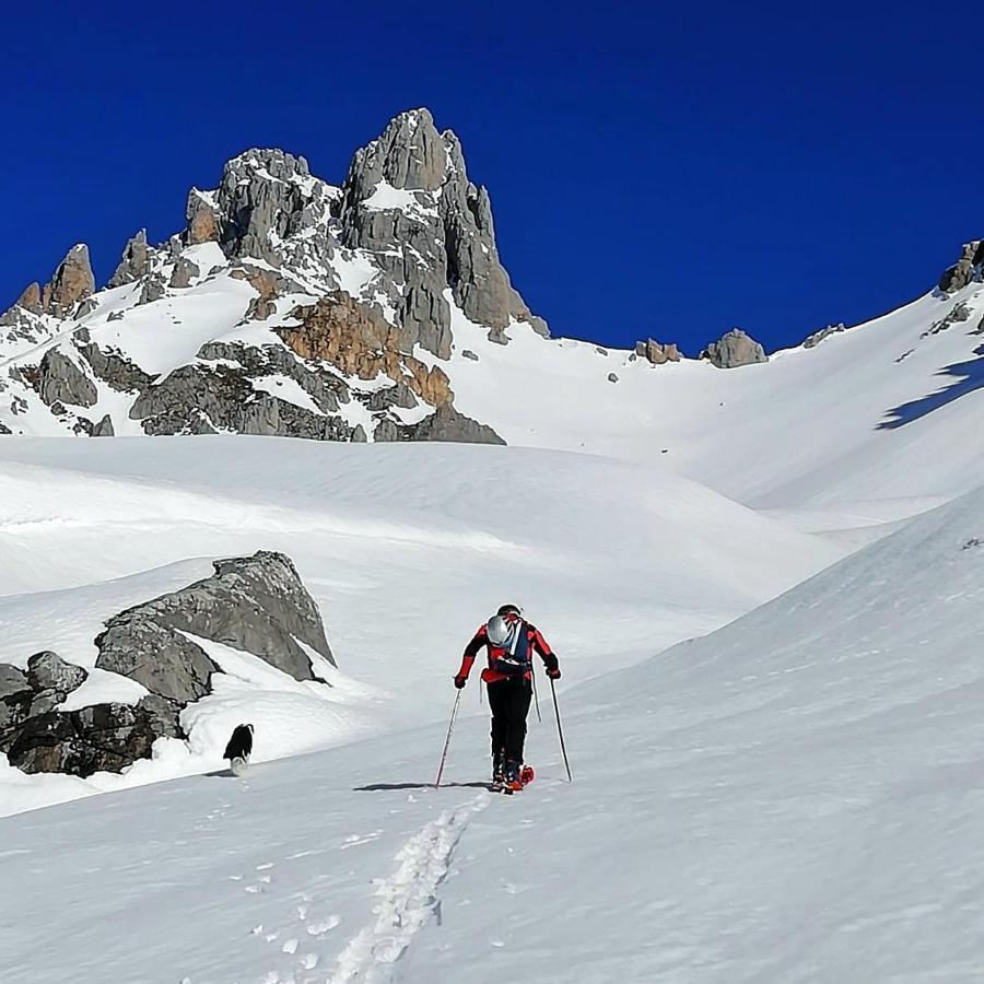 Picos De Europa